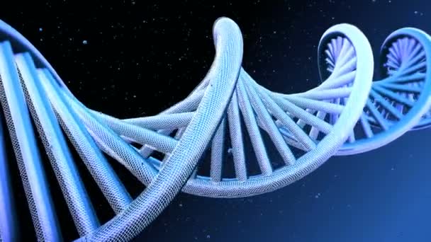 Sebuah model berputar untaian DNA — Stok Video