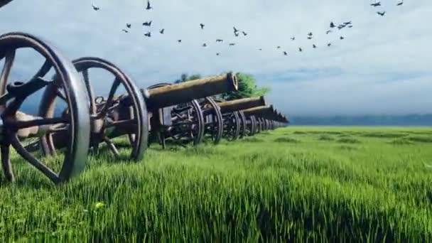 A Medieval cannons in the field, in the middle of green grass on a cloudy day, before the battle — Stock Video