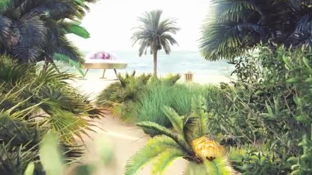 Un groupe de palmiers à côté d'un arbre — Video