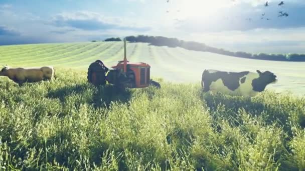 Um rebanho de gado em pé em cima de um campo coberto de grama — Vídeo de Stock