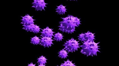 Bir çiçeğe yakın çekim