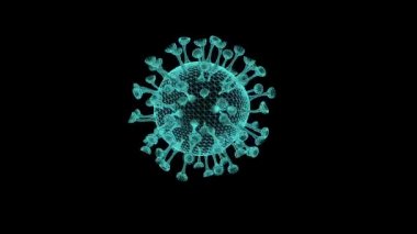 Bir çiçeğe yakın çekim