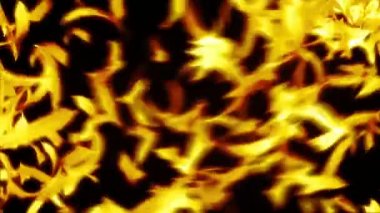 Bir ışığa yakın çekim