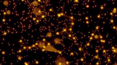 Geceleri bir şehir. Yüksek kaliteli görüntüler