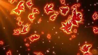 Parlak bir ışığın yakın çekimi. Yüksek kaliteli görüntüler