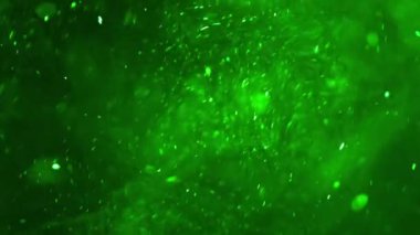 Beyaz metinli yeşil bir işaret. Yüksek kaliteli görüntüler