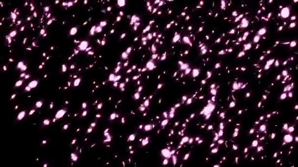 Artificii Cer Imagini Înaltă Calitate — Videoclip de stoc