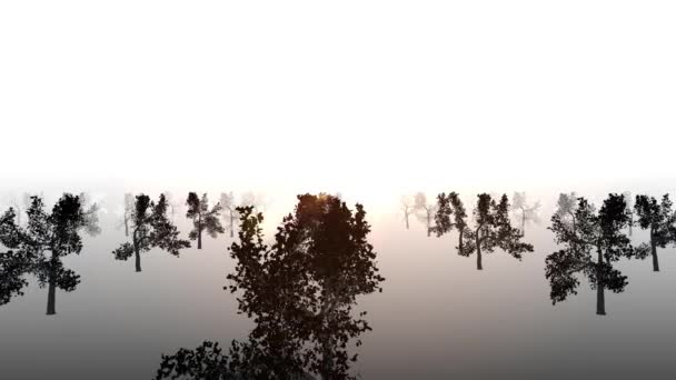 Un árbol junto a un cuerpo de agua — Vídeos de Stock