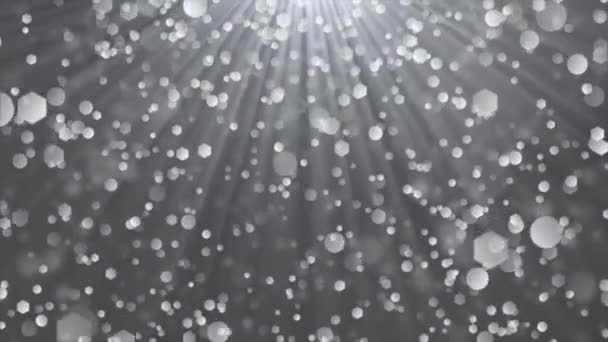 Eine Nahaufnahme von Regen — Stockvideo