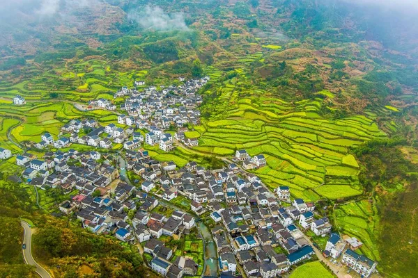 Fotografía Aérea Primavera Violación Campo Más Hermoso China —  Fotos de Stock