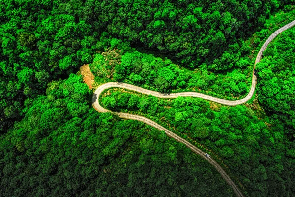 Wuyuan 'daki yeşil dağlar ve berrak sular, Jiangxi Eyaleti, Çin