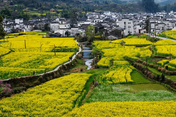 Wuyuan 'daki yeşil dağlar ve berrak sular, Jiangxi Eyaleti, Çin