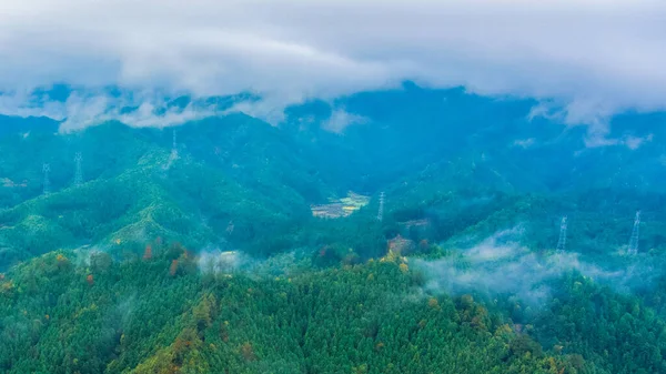 İlkbaharda, Çin 'in Jiangxi Eyaleti' nin Wuyuan kentinin kırsal arazisi teraslı yamaçların tepesinde çiçek açan kolza çiçeği manzarası..