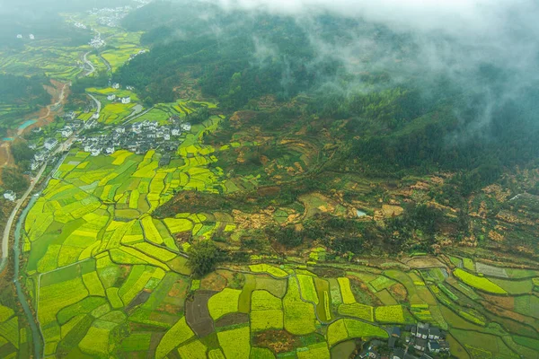 İlkbaharda, Çin 'in Jiangxi Eyaleti' nin Wuyuan kentinin kırsal arazisi teraslı yamaçların tepesinde çiçek açan kolza çiçeği manzarası..