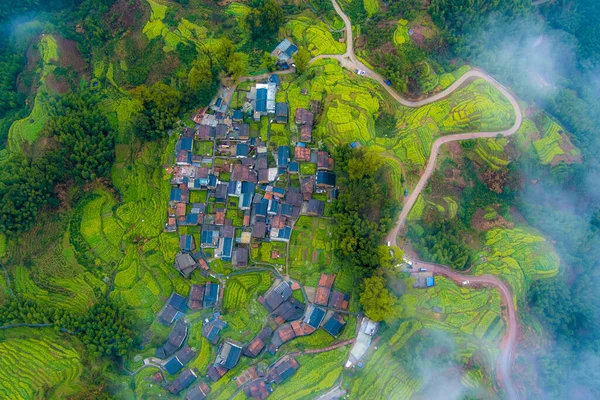İlkbaharda, Çin 'in Jiangxi Eyaleti' nin Wuyuan kentinin kırsal arazisi teraslı yamaçların tepesinde çiçek açan kolza çiçeği manzarası..