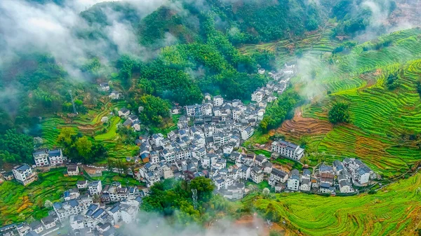 İlkbaharda, Çin 'in Jiangxi Eyaleti' nin Wuyuan kentinin kırsal arazisi teraslı yamaçların tepesinde çiçek açan kolza çiçeği manzarası..