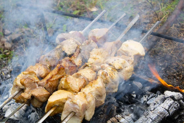 Cooking meat over a fire in the fresh air. Barbecue is prepared on a fire on the street. Nature and recreation .