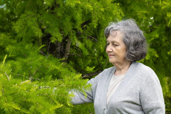 Elderly woman enjoying fresh air among green trees in park in spring. Grandma walks in the park