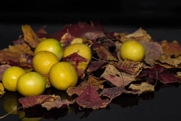 Still Life Autumn Lemons Leaves Black Background — Stock Photo, Image