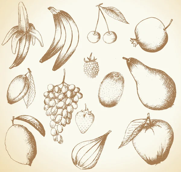 Vektor Hand gezeichnete Früchte isoliert auf weiß — Stockvektor