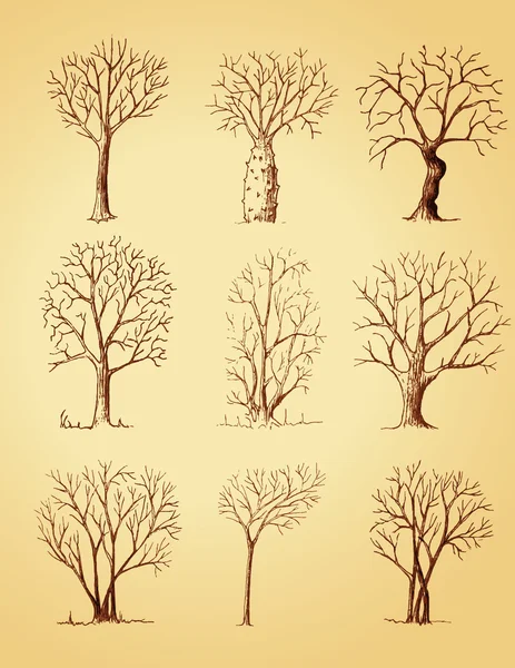 Arbres dessinés à la main isolés, croquis, décor d'arbres de style vintage — Image vectorielle