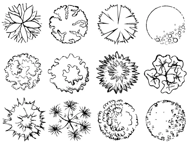 Набор символов верхушки деревьев для архитектурного или ландшафтного дизайна — стоковый вектор