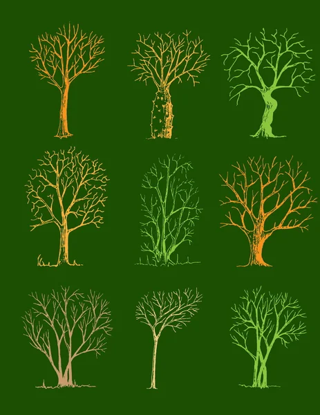 Arbres dessinés à la main isolés, croquis, décor d'arbres de style vintage — Image vectorielle