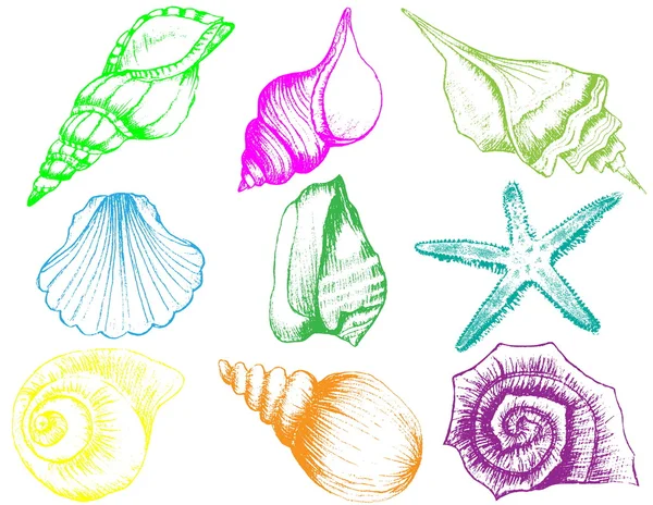 コヤスガイストックベクター ロイヤリティフリーコヤスガイイラスト Depositphotos コヤスガイストックベクター ロイヤリティフリーコヤスガイイラスト Depositphotos