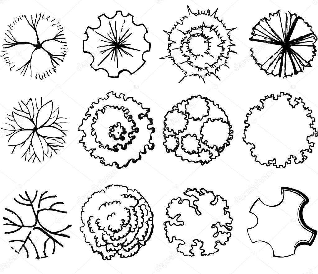 условные обозначения деревьев и кустарников на генплане
