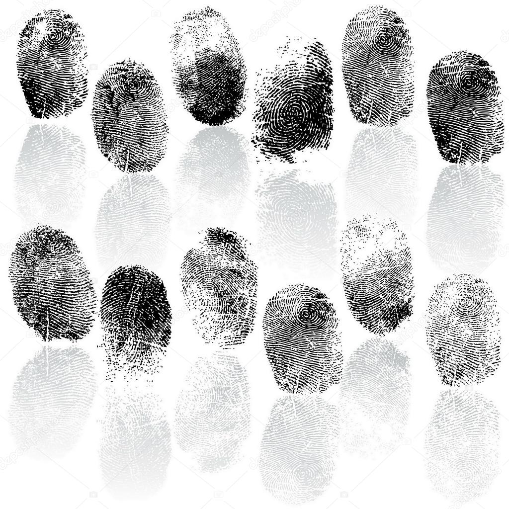 Set of fingerprints, vector illustration