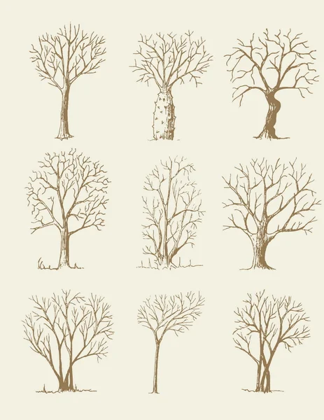 Hand drawn trees isolated, sketch, vintage style trees set — Stock Vector