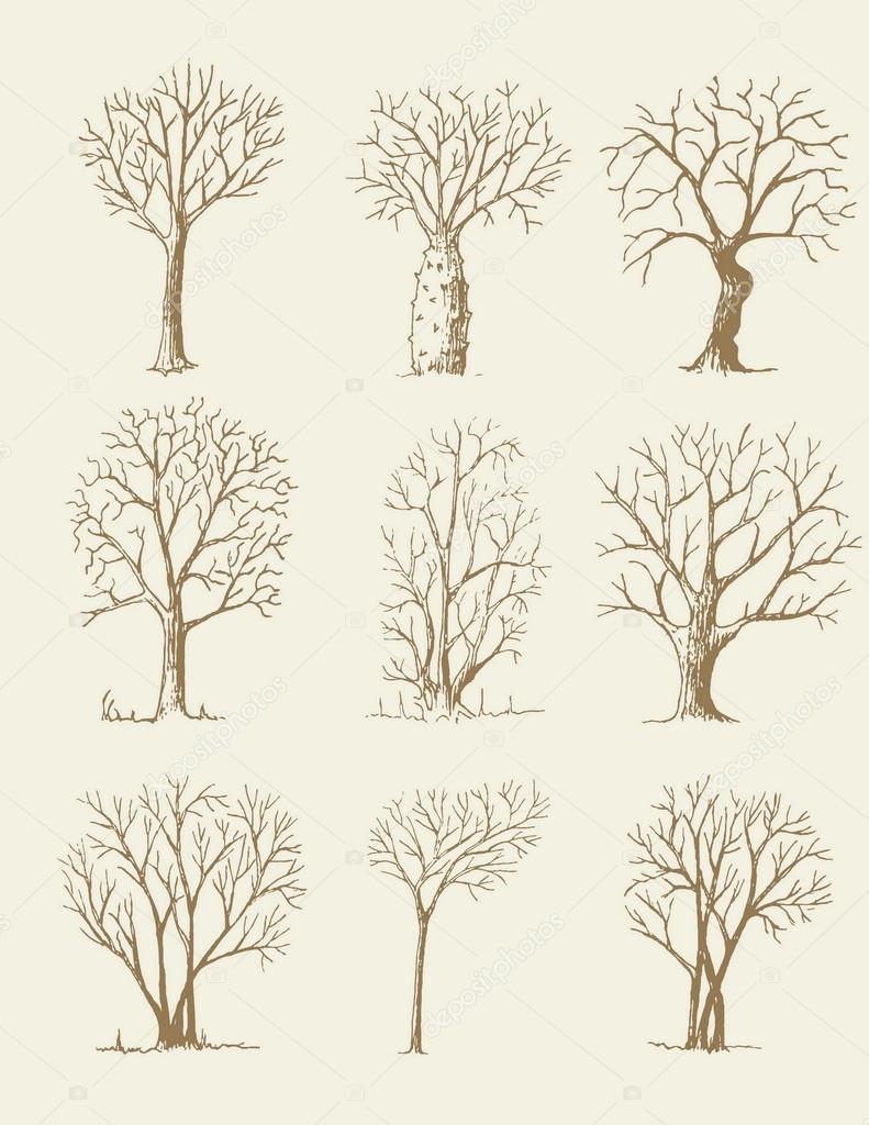 Hand drawn trees isolated, sketch, vintage style trees set