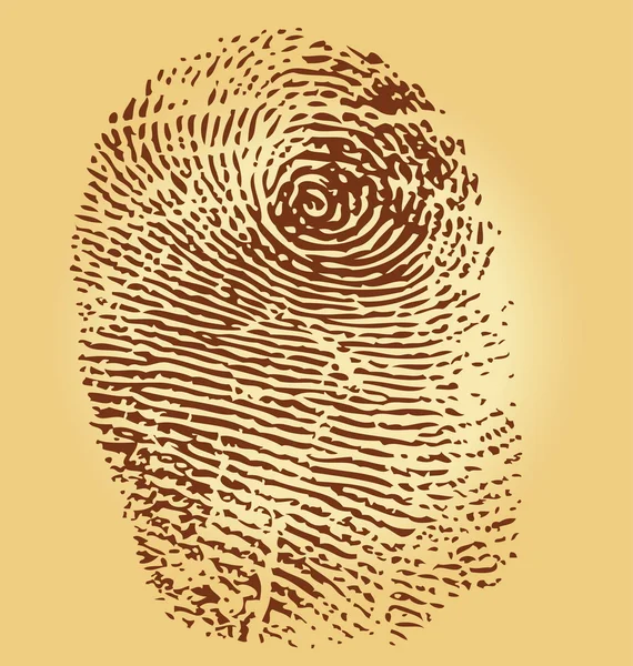 Fingerprints, vector illustration isolated on vintage backgroun — Stock Vector