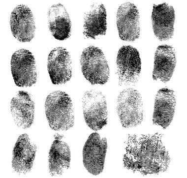 Set of fingerprints, vector illustration isolated on white clipart
