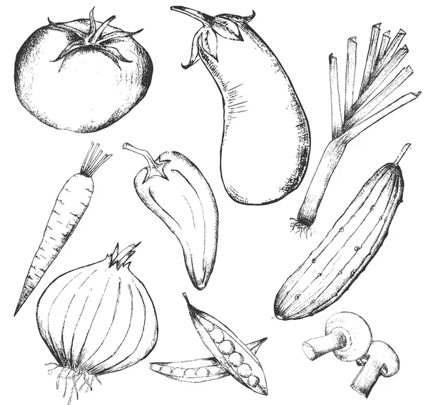 Koleksiyon çizilmiş sebze, vektör çizim — Stok Vektör