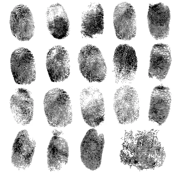 Set of fingerprints, vector illustration isolated on white — Stock Vector