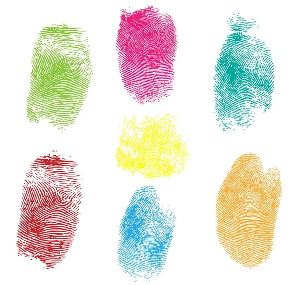 Set of fingerprints, vector illustration isolated on white — Stock Vector