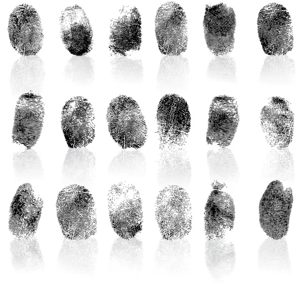 Set of fingerprints, vector illustration isolated on white — Stock Vector