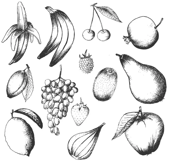 向量集手上白色孤立的绘制的水果 — 图库矢量图片