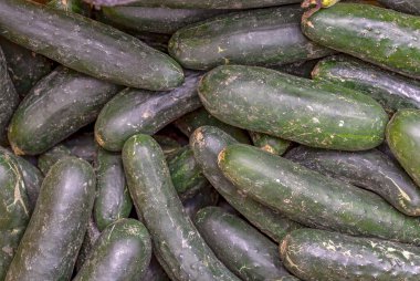 Bir yığın salatalık. Orta Kolombiya 'nın And Dağları' ndaki sömürge kasabası Villa de Leyva 'nın yerel geleneksel pazarında çekilmiş..