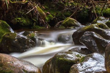 Kolombiya And Dağları 'nın orta kesimindeki sömürge kasabası Villa de Leyva yakınlarındaki bir dağ geçidinde soğuk akıntıya maruz kalmışlar..