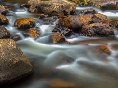 Kolombiya And Dağları 'nın orta kesimindeki sömürge kasabası Villa de Leyva yakınlarındaki bir dağ geçidinde soğuk akıntıya maruz kalmışlar..