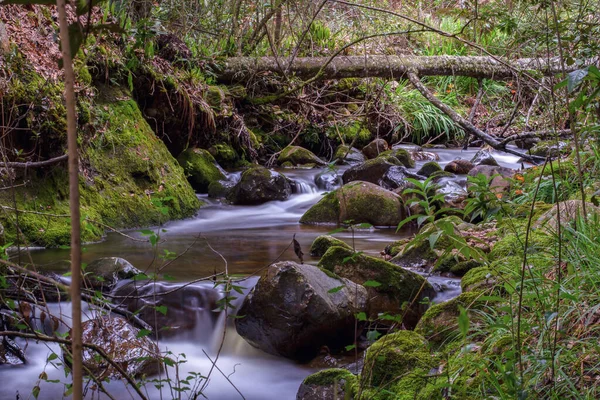 Múltipla Exposição Fluxo Frio Uma Ravina Nas Montanhas Perto Cidade — Fotografia de Stock