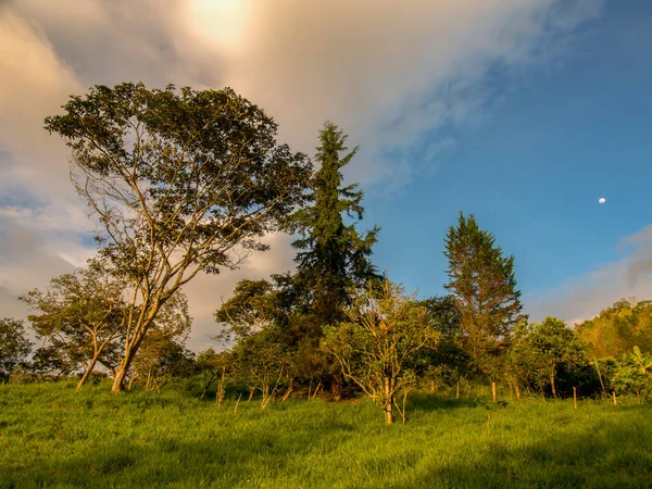 Luz Del Atardecer Sobre Bosque Los Andes Colombianos Con Luna —  Fotos de Stock