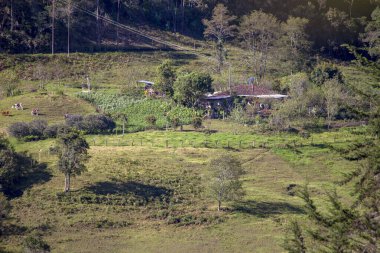 Orta Kolombiya 'nın And Dağları' ndaki kısmen ekilmiş bir tarlada gün batımında panoramik bir çiftlik evi manzarası..