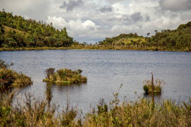 Orta Kolombiya 'nın And Dağları' ndaki Teatinos Paramo 'da doğal bir göl olan Laguna Verde' nin panoramik manzarası..