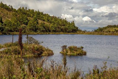 Orta Kolombiya 'nın And Dağları' ndaki Teatinos Paramo 'da doğal bir göl olan Laguna Verde' nin panoramik manzarası..