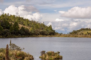 Orta Kolombiya 'nın And Dağları' ndaki Teatinos Paramo 'da doğal bir göl olan Laguna Verde' nin panoramik manzarası..