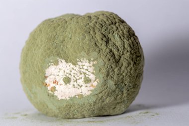 Çok küflü bir limonun makro fotoğrafçılığı.