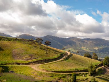 Boyaca Bölgesi 'nin bir parçası olan Orta Boyaca Eyaleti' ndeki Chiquiza kolonisi yakınlarındaki bir tarlada bir adam uyuyor..
